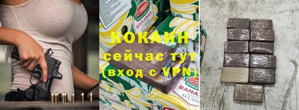 сатива Беломорск