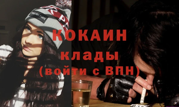 сатива Беломорск
