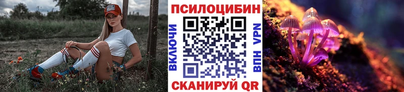 Псилоцибиновые грибы Cubensis  Тулун 